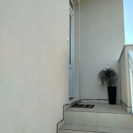 Studio Petra